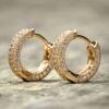 Sparkling Round Hoop Earrings - Image 2