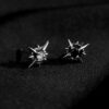 Sparkling Star Stud Earrings